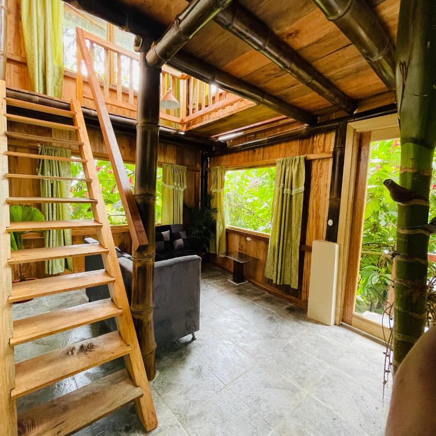 Вилла Eden Treehouse Миндо Экстерьер фото