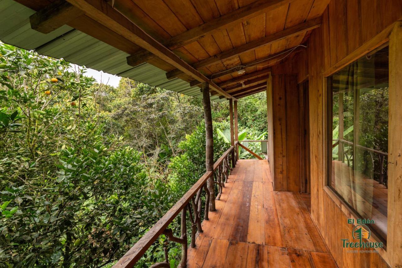 Вилла Eden Treehouse Миндо Экстерьер фото