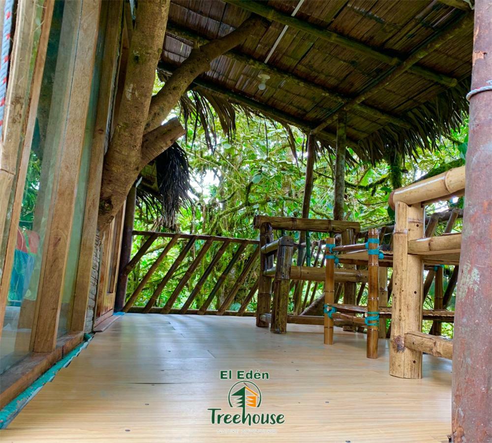 Вилла Eden Treehouse Миндо Экстерьер фото